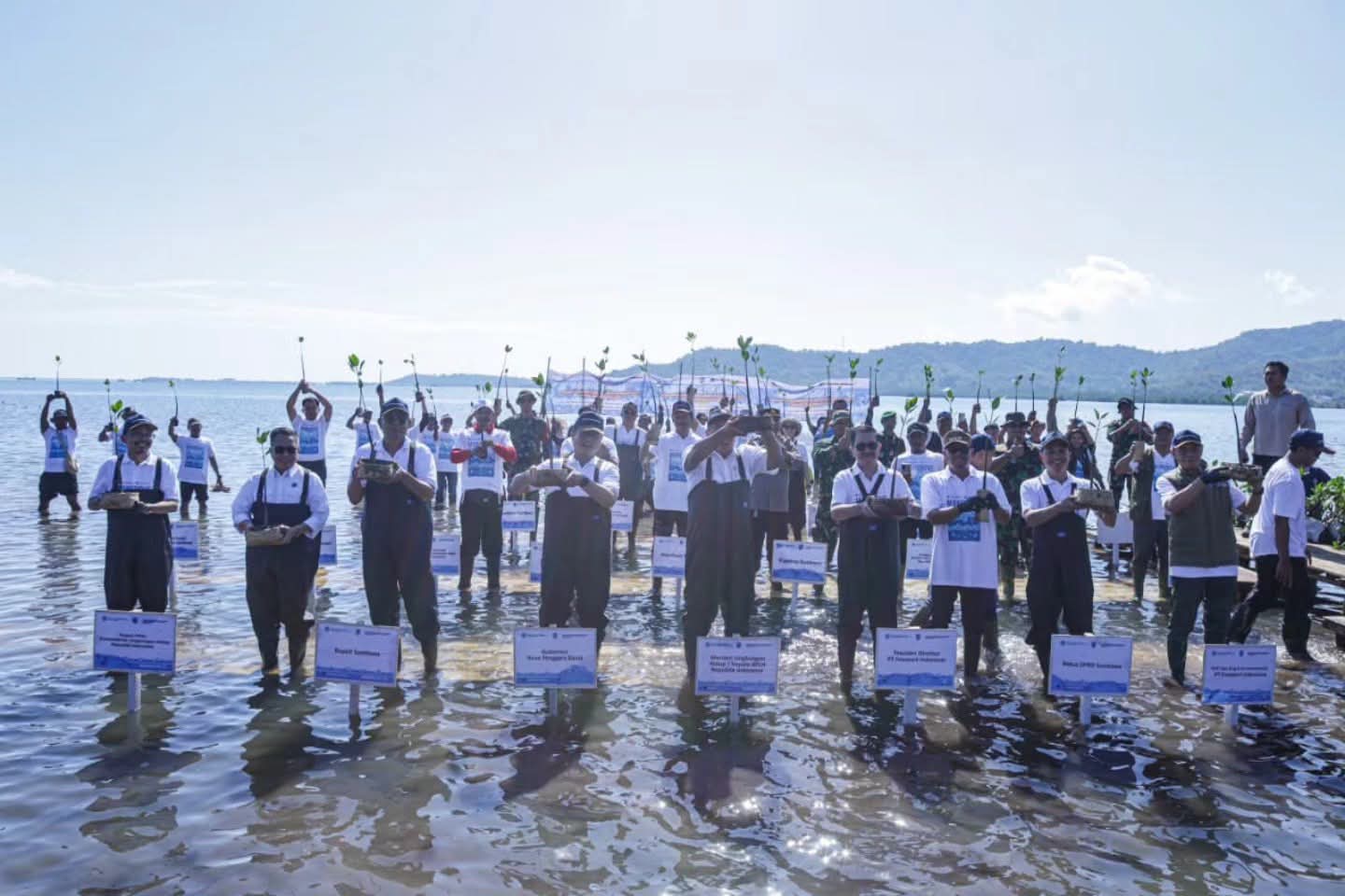 PENANAMAN MANGROVE BERSAMA MENTERI LINGKUNGAN HIDUP DI LABUHAN ALAS KEC. ALAS